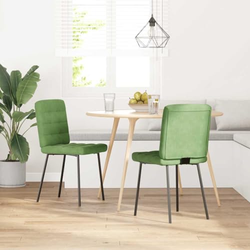 QJBSAVVA Wohnzimmer Stühle Schminktisch Stuhl Esstisch Stühle Chairs for Dining Table - Esszimmerstühle 2 STK. Hellgrün Samt für Arbeitszimmer Büro Küche Wohnzimmer von QJBSAVVA