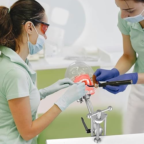 Dentalsimulator-Puppe, Dental-Phantomkopfmodell mit 360°-Einstellung, Dental-Lehrsimulator, am Schreibtisch montierte Lehrhilfe A von QJWM