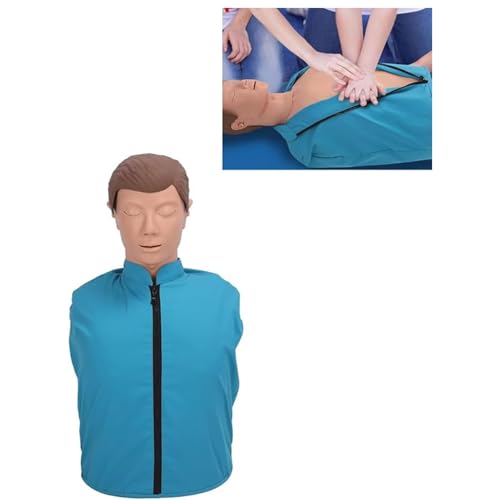 Trainingsmodell für die kardiopulmonale Wiederbelebung, Halbkörper-Mannequin für Erwachsene, künstliches Lehrmodell, menschlicher Modellsimulator A von QJWM