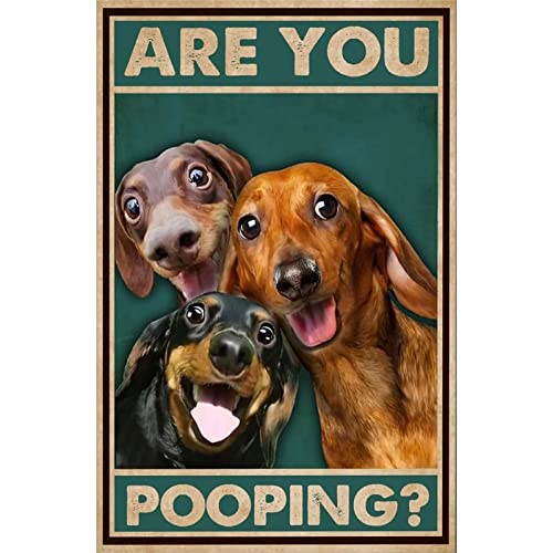 QKIODS Metallschild Dackel Are You Pooping Schild Vintage Lustiges Schild Retro Aluminium Blechschilder für Zuhause Bauernhof Garten Bar Bad Küche 20,3 x 30,5 cm von QKIODS