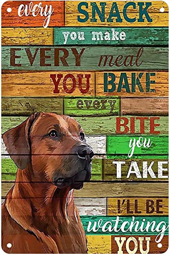 QKIODS Rhodesian Ridgeback Every Snack You Retro Metall Blechschild Vintage Aluminium Schild für Heimdekoration Raumdekoration 20,3 x 30,5 cm von QKIODS