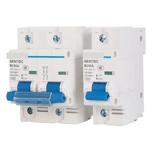 DC12V 24V 48V 60V 120V MCB 63A 80A 100A 125A 150A 200A 250A Schaltung Schutz 1p/2p Solar System Lithium-Batterie Power Protector(1P,100A) von QLRCCKVVT