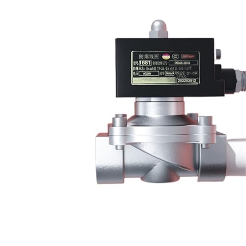 Explosion proof Solenoid Valve Stainless Steel Normally Closed Natural Gas Coal Gas IICT4 Explosion proof grade 12V 24V 220V(230VAC_NORMALLY CLOSED) von QLRCCKVVT