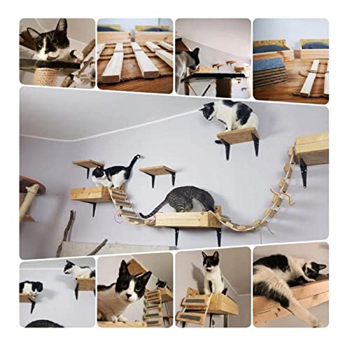 Katzen Kletterwand Katzenliege Wandliege Katzenbett Katzenregal Wandmontage XXL Wohnzimmer Schlafzimmer von QLS