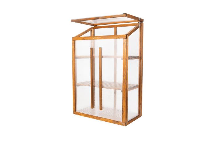 QLS Gewächshaus Mini für Balkon Palisanderbraun in hell & dunkel, Holz & Polycarbonat 80x42x121 cm für Pflanzen von QLS