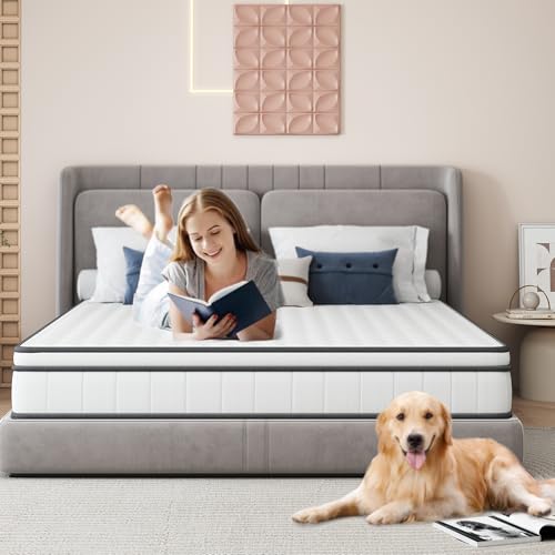 Matratze 140x190/90x200cm,Federkernmatratze,7-Zonen Orthopädische Matratze, Ergonomische,mit Komfortschaum, Gewebe mit weicher Oberfläche,Matratze für Erwachsene,Mittlerer Härtegrad (140x190cm) von QLTXYHML