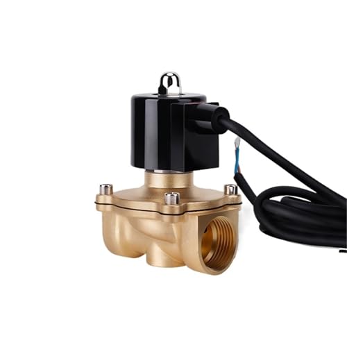1 "normalerweise geschlossenes Magnetventil DN25 Messingbrunnen-Magnetventil 110 V 24 V 12 V 24 v for Unterwasser(BSP_24VDC_EPDM-SEAL) von QLYMDDSA