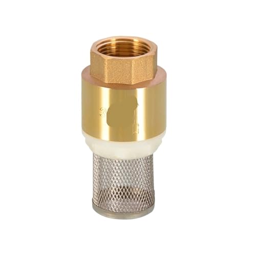 5 STÜCKE 1/2 "3/4" 1 "Innengewinde Messing Rückschlagventil Rückschlagventil Mit Stahlsieb Filter for Wasser Sanitär Pumpe(1l2 (Steel mesh)) von QLYMDDSA