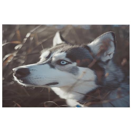Blauäugiger Husky-Teppich für den Eingangsbereich, waschbare Teppiche mit rutschfester Gummi-Unterseite für Küche, weich, schmutzabweisend, kleiner Teppich für Schlafzimmer, Badezimmer Blauäugiger Husky-Teppich für den Eingangsbereich, waschbare Teppiche mit rutschfester Gummi-Unterseite für Küche, weich, schmutzabweisend, kleiner Teppich für Schlafzimmer, Badezimmer von QMKFWT