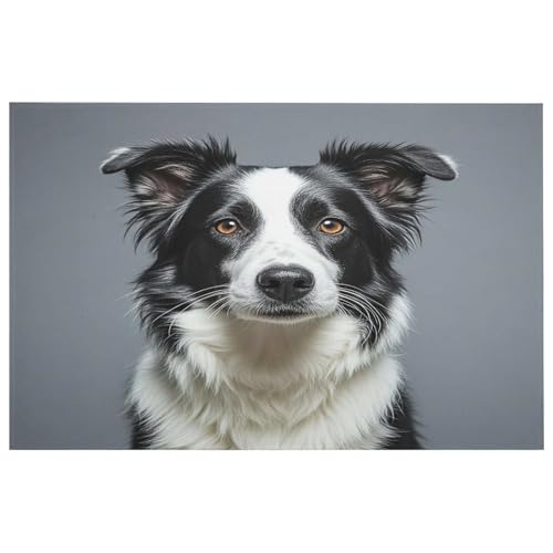 Border Collie Teppich für den Eingangsbereich, waschbare Teppiche mit rutschfester Gummi-Unterseite für Küche, weich, schmutzabweisend, kleiner Teppich für Schlafzimmer, Badezimmer, Bodendekoration Border Collie Teppich für den Eingangsbereich, waschbare Teppiche mit rutschfester Gummi-Unterseite für Küche, weich, schmutzabweisend, kleiner Teppich für Schlafzimmer, Badezimmer, Bodendekoration von QMKFWT