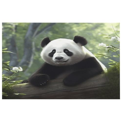 Lovely Panda Teppich für den Eingangsbereich, waschbare Teppiche mit rutschfester Gummi-Unterseite für Küche, weich, schmutzabweisend, kleiner Teppich für Schlafzimmer, Badezimmer, Bodendekoration von QMKFWT