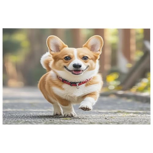 Running Corgi Teppich für den Eingangsbereich, waschbare Teppiche mit rutschfester Gummi-Unterseite für Küche, weich, schmutzabweisend, kleiner Teppich für Schlafzimmer, Badezimmer, Bodendekoration Running Corgi Teppich für den Eingangsbereich, waschbare Teppiche mit rutschfester Gummi-Unterseite für Küche, weich, schmutzabweisend, kleiner Teppich für Schlafzimmer, Badezimmer, Bodendekoration von QMKFWT