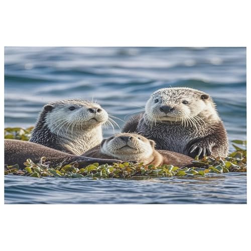 Sea Otters Teppich für den Eingangsbereich, waschbare Teppiche mit rutschfester Gummi-Unterseite, für Küche, weich, schmutzabweisend, kleiner Teppich für Schlafzimmer, Badezimmer, Bodendekoration von QMKFWT