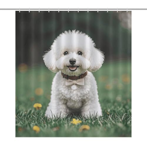 Bichon Frisé-Duschvorhang im Boho-Stil, wasserdicht, Bauernhaus-Badezimmervorhang mit 12 Haken, modern, extra lang, waschbarer Stoff, dekorativer Badvorhang, 168 x 183 cm von QMNBTES