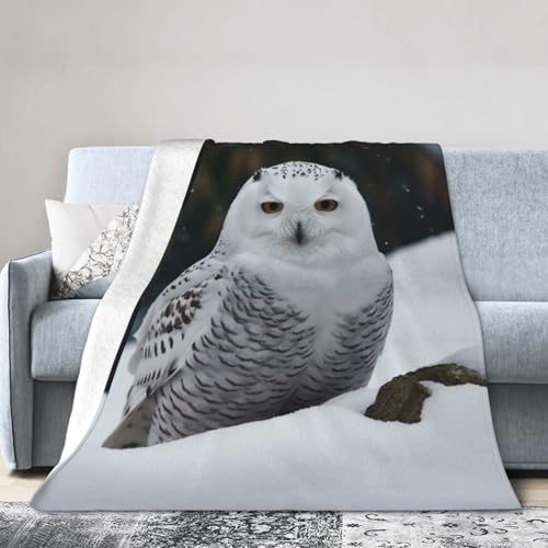 Fleecedecke mit Schneeeule, superweich, warm, extra groß, Flanell-Überwurf, leicht, luxuriös, gemütlich, Bettdecke für Couch, Sofa, alle Jahreszeiten, 152,4 x 127 cm von QMNEHJ