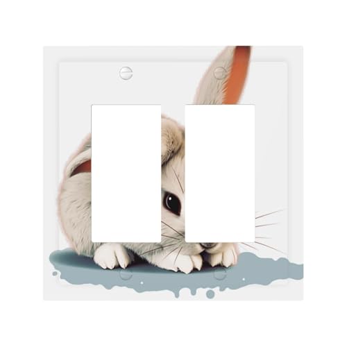 Dekorateur Wandplatte, 2-Gang-Kippschalter, Lichtschalter-Abdeckung, mittlere Größe, 12,7 x 12,4 cm, Einzelwippe, Wandplatte, Steckdosenabdeckung, Abdeckung für Steckdosendekoration Dekorateur Wandplatte, 2-Gang-Kippschalter, Lichtschalter-Abdeckung, mittlere Größe, 12,7 x 12,4 cm, Einzelwippe, Wandplatte, Steckdosenabdeckung, Abdeckung für Steckdosendekoration von QMNSEHF