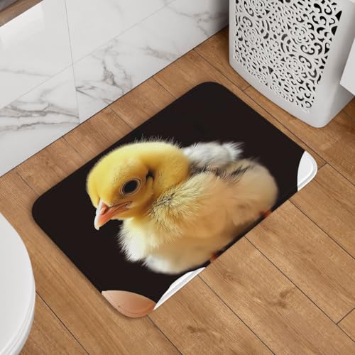 Fußmatte für den Innen- und Außenbereich, 40,6 x 61 cm, rutschfest, waschbar, für den Eingangsbereich, super saugfähiger Teppich Fußmatte für den Innen- und Außenbereich, 40,6 x 61 cm, rutschfest, waschbar, für den Eingangsbereich, super saugfähiger Teppich von QMNSEHF