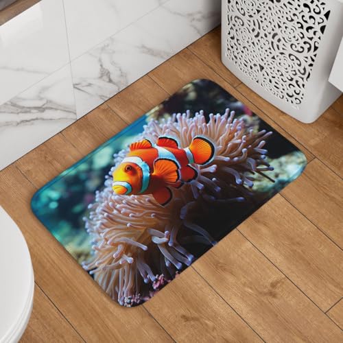 Fußmatte für den Innen- und Außenbereich, 40,6 x 61 cm, rutschfeste Willkommens-Fußmatten, waschbare Bodenmatte, Clownfisch, Türvorleger für den Eingangsbereich, super saugfähiger Teppich Fußmatte für den Innen- und Außenbereich, 40,6 x 61 cm, rutschfeste Willkommens-Fußmatten, waschbare Bodenmatte, Clownfisch, Türvorleger für den Eingangsbereich, super saugfähiger Teppich von QMNSEHF