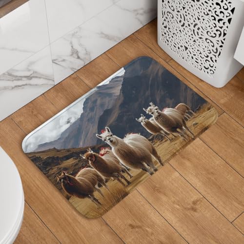 Fußmatte für den Innen- und Außenbereich, 40,6 x 61 cm, rutschfeste Willkommens-Fußmatten, waschbare Bodenmatte, Lamas in den Anden, Türvorleger für den Eingangsbereich, super saugfähiger Teppich Fußmatte für den Innen- und Außenbereich, 40,6 x 61 cm, rutschfeste Willkommens-Fußmatten, waschbare Bodenmatte, Lamas in den Anden, Türvorleger für den Eingangsbereich, super saugfähiger Teppich von QMNSEHF