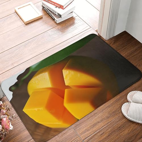Fußmatte für den Innen- und Außenbereich, 40,6 x 61 cm, rutschfeste Willkommens-Fußmatten, waschbare Bodenmatte, Mango-Türteppiche für den Eingangsbereich, super saugfähiger Teppich Fußmatte für den Innen- und Außenbereich, 40,6 x 61 cm, rutschfeste Willkommens-Fußmatten, waschbare Bodenmatte, Mango-Türteppiche für den Eingangsbereich, super saugfähiger Teppich von QMNSEHF