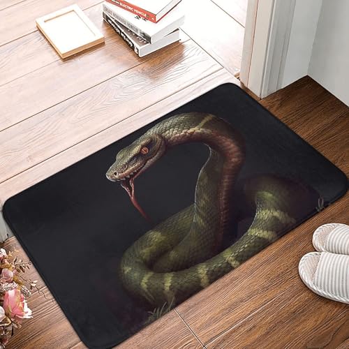 Fußmatte für den Innen- und Außenbereich, 40,6 x 61 cm, rutschfeste Willkommens-Fußmatten, waschbare Bodenmatte, Schlangentürteppiche für den Eingangsbereich, super saugfähiger Teppich Fußmatte für den Innen- und Außenbereich, 40,6 x 61 cm, rutschfeste Willkommens-Fußmatten, waschbare Bodenmatte, Schlangentürteppiche für den Eingangsbereich, super saugfähiger Teppich von QMNSEHF