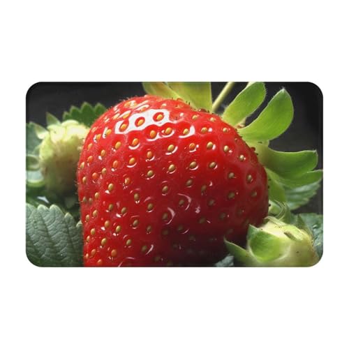 Fußmatte für den Innen- und Außenbereich, 50,8 x 80 cm, rutschfeste Willkommens-Fußmatten, waschbare Bodenmatte, Obst-Erdbeer-Türteppiche für den Eingangsbereich, super saugfähiger Teppich Fußmatte für den Innen- und Außenbereich, 50,8 x 80 cm, rutschfeste Willkommens-Fußmatten, waschbare Bodenmatte, Obst-Erdbeer-Türteppiche für den Eingangsbereich, super saugfähiger Teppich von QMNSEHF