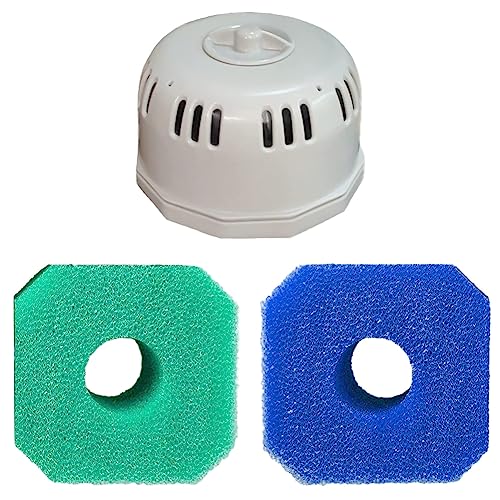 QOXEZY Filterhalter & Schwamm-Set für Z Spa für Intex Filtergehäuse Gehäuse Halter P6653 für alle aufblasbaren Whirlpools oder Spas, die Typ VI Filter-C benötigen von QOXEZY