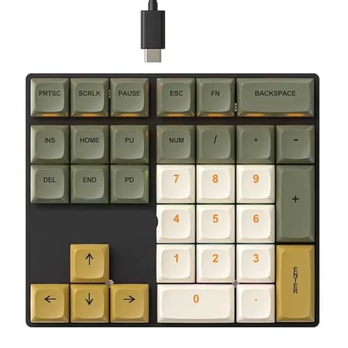 QPSJXN 33 Key Kabel -Mechanical Numeric -Tastatur mit farbenfrohen Hintergrundbeleuchtung ideal für Finanzgeschäft und Laptop -Verwendung(Glimmer) von QPSJXN