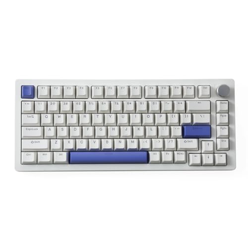 QPSJXN A75 TKL Mechanische Tastatur mit schnellem Trigger -Hyper -Schnell -Magnetschalter und RGB -Leuchten kompakt 82 Die meisten Systeme(OEM-PBT-White Peri) von QPSJXN