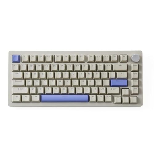 QPSJXN A75 TKL Mechanische Tastatur mit schnellem Trigger -Hyper -Schnell -Magnetschalter und RGB -Leuchten kompakt 82 Die meisten Systeme(PBT-Grey) von QPSJXN