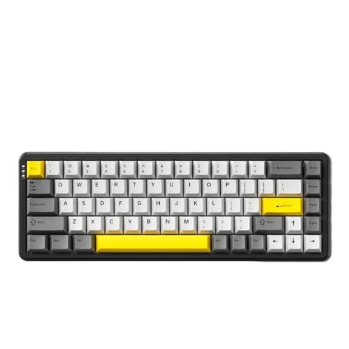 QPSJXN AK680 Magnetwellentastatur mit 1 ms Latenz -Kompakt -Design ideal für Spiele(HHH RGB) von QPSJXN