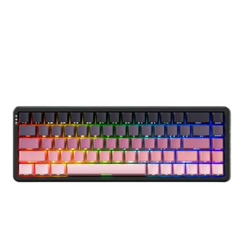 QPSJXN AK680 Magnetwellentastatur mit 1 ms Latenz -Kompakt -Design ideal für Spiele(Ji ban Fen RGB) von QPSJXN