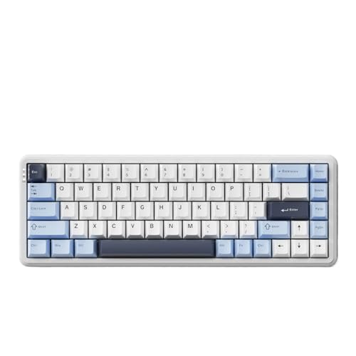 QPSJXN AK680 Magnetwellentastatur mit 1 ms Latenz -Kompakt -Design ideal für Spiele(Shen LAN RGB) von QPSJXN