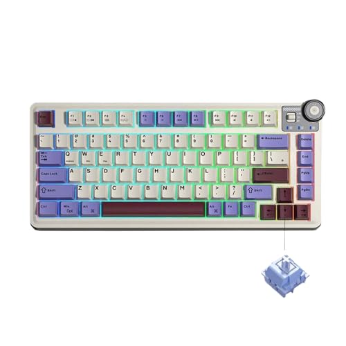 QPSJXN AU75 81 HOT Swappbare mechanische -Tastatur RGB RGB BBT -Tastaturkap -kompatibel mit PC -Desktop -Typing(BEIGES) von QPSJXN