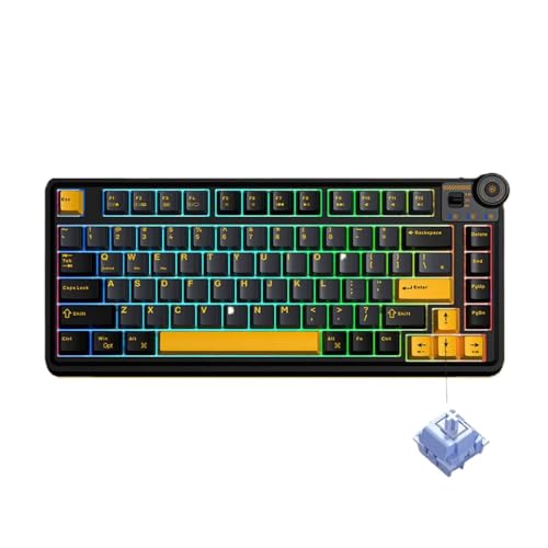 QPSJXN AU75 81 HOT Swappbare mechanische -Tastatur RGB RGB BBT -Tastaturkap -kompatibel mit PC -Desktop -Typing(Black) von QPSJXN