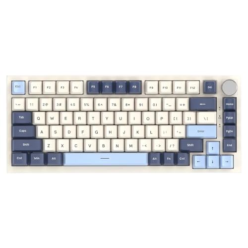 QPSJXN Anpassbare mechanische Tastatur mit K85 Magnetic Switch RGB HOT-SWAPABLE-Metal-Knöpfen für FPS-Spielkompatibilität(Blueberry) von QPSJXN