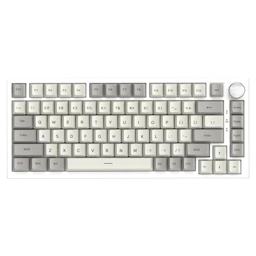 QPSJXN Anpassbare mechanische Tastatur mit K85 Magnetic Switch RGB HOT-SWAPABLE-Metal-Knöpfen für FPS-Spielkompatibilität(Business Gray) von QPSJXN
