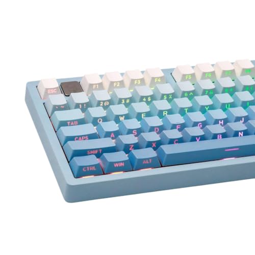 QPSJXN Blue 133-Key-PBT-Doppel-Shot-Profil-Keycap-Set für ANSI-mechanische Tastaturen, die mit MX-Style-Switches kompatibel sind QPSJXN Blue 133-Key-PBT-Doppel-Shot-Profil-Keycap-Set für ANSI-mechanische Tastaturen, die mit MX-Style-Switches kompatibel sind von QPSJXN