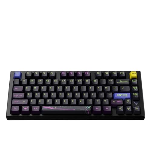 QPSJXN Customized RGB Magnetic Kabel -Tastatur für Spieler mit heißer Tauschdichtung und Aluminiumdesign(RS7 no RGB) von QPSJXN