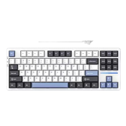 QPSJXN Customized RGB Mechanical -Tastatur mit Hot Plug -Funktion und dritter Scheinuntersuchungsstruktur V87pro(Power Silver Shaft) von QPSJXN