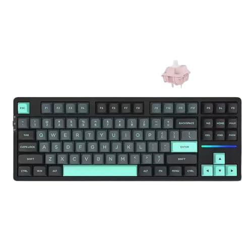 QPSJXN Customized RGB Mechanical -Tastatur mit Hot Plug -Funktion und dritter Scheinuntersuchungsstruktur V87pro(Strawberry Pudding A) von QPSJXN