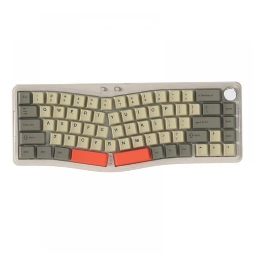 QPSJXN Ergonomischer Dreifachmodus Hot Swap Mechanischer Tastatur RGB -Salzwelle mit ASS068 Struktur Dichtung Alice68 Kompatibilität(AKS068 PRO HMJ) von QPSJXN