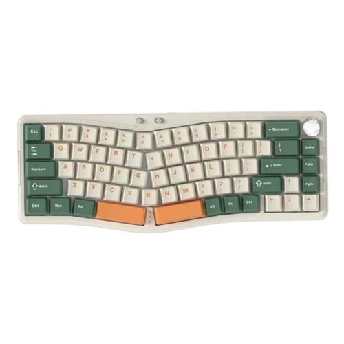 QPSJXN Ergonomischer Dreifachmodus Hot Swap Mechanischer Tastatur RGB -Salzwelle mit ASS068 Struktur Dichtung Alice68 Kompatibilität(AKS068 PRO LMC) von QPSJXN