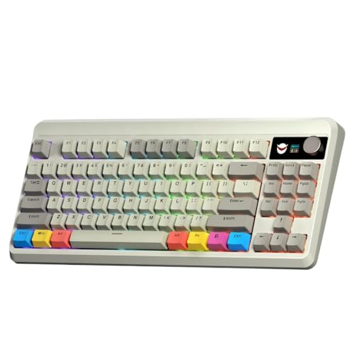 QPSJXN Farb -OLED -Display Hot Swappable Switch Mechanical -Tastatur mit M87 Pro2 -Hub -Design und Kompatibilität für PBT -Tastaturen QPSJXN Farb -OLED -Display Hot Swappable Switch Mechanical -Tastatur mit M87 Pro2 -Hub -Design und Kompatibilität für PBT -Tastaturen von QPSJXN
