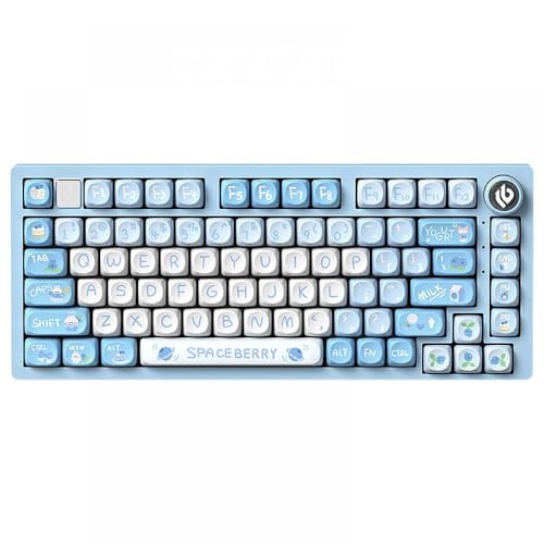 QPSJXN HI75 RGB RGB Rückenbeleuchtete mechanische -Tastatur mit Metallbasis Hot Swappable Dichtungsstruktur PBT -Tastatur und HiFi -Sound(Blueberries-SOA) von QPSJXN