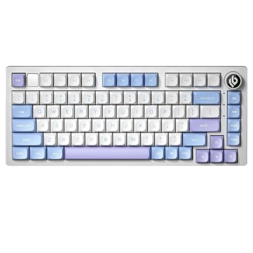 QPSJXN HI75 RGB RGB Rückenbeleuchtete mechanische -Tastatur mit Metallbasis Hot Swappable Dichtungsstruktur PBT -Tastatur und HiFi -Sound(Creamy Purple-Cherry) von QPSJXN