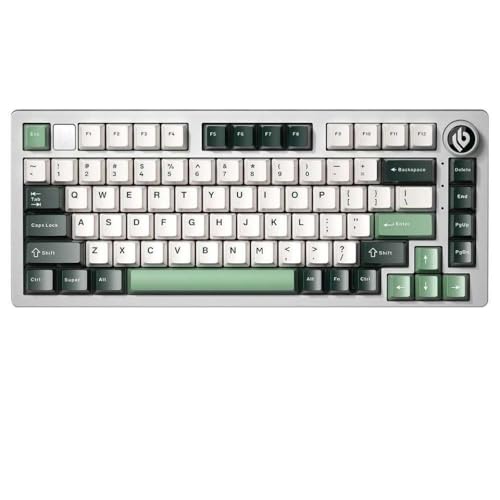 QPSJXN HI75 RGB RGB Rückenbeleuchtete mechanische -Tastatur mit Metallbasis Hot Swappable Dichtungsstruktur PBT -Tastatur und HiFi -Sound(Misty Green-Cherry) von QPSJXN