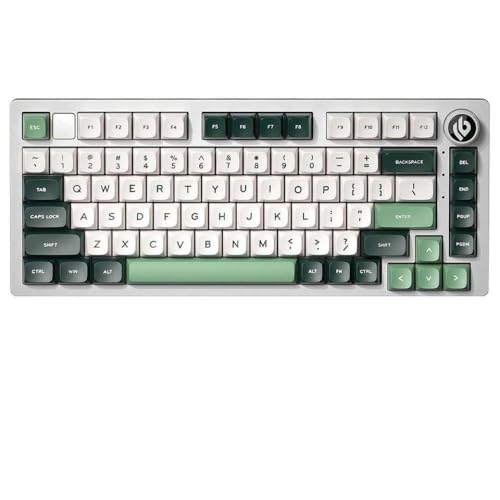 QPSJXN HI75 RGB RGB Rückenbeleuchtete mechanische -Tastatur mit Metallbasis Hot Swappable Dichtungsstruktur PBT -Tastatur und HiFi -Sound(Misty Green-MDA) von QPSJXN