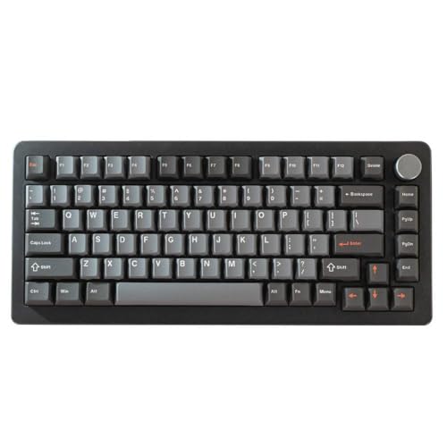 QPSJXN Kompakt 82 TKL Mechanische -Tastatur mit stillen magnetischen Schalter und schnellen Triggertechnologie(Silent Switch Gray) von QPSJXN