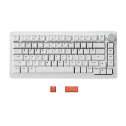 QPSJXN Kompakt 82 TKL Mechanische -Tastatur mit stillen magnetischen Schalter und schnellen Triggertechnologie(Silent Switch White) von QPSJXN